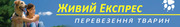 Услуги перевозки животных по Украине и за границу